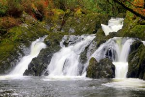 Waterfall at Glengarriff Woods