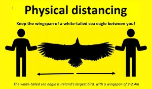 An Eagle spread out signifying the minimum distance in social distancing