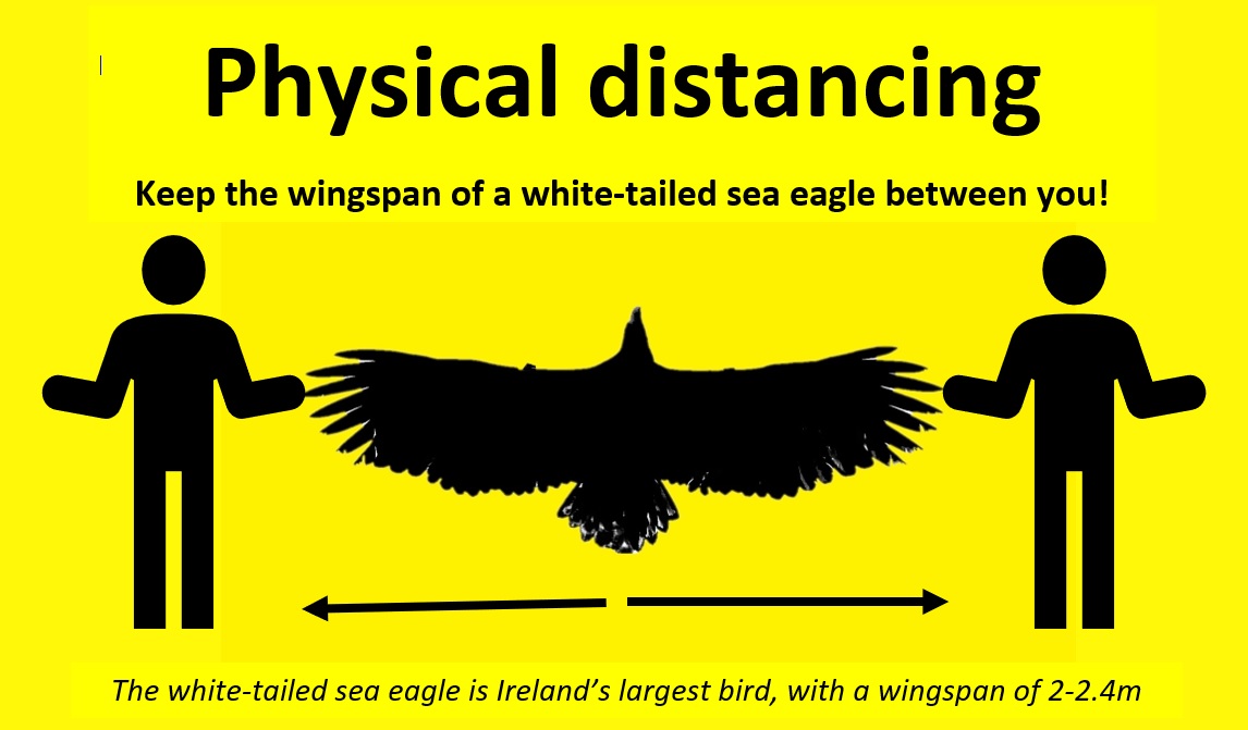 An Eagle spread out signifying the minimum distance in social distancing